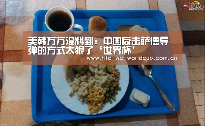 美韩万万没料到:中国反击萨德导弹的方式太狠了‘世界杯’(图1) 实时比分