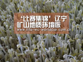 ‘比赛集锦’辽宁矿山地质环境恢复治理取得